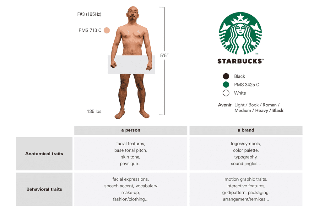 Comparative example of fundamental anatomy and behavior traits of a person and a brand.